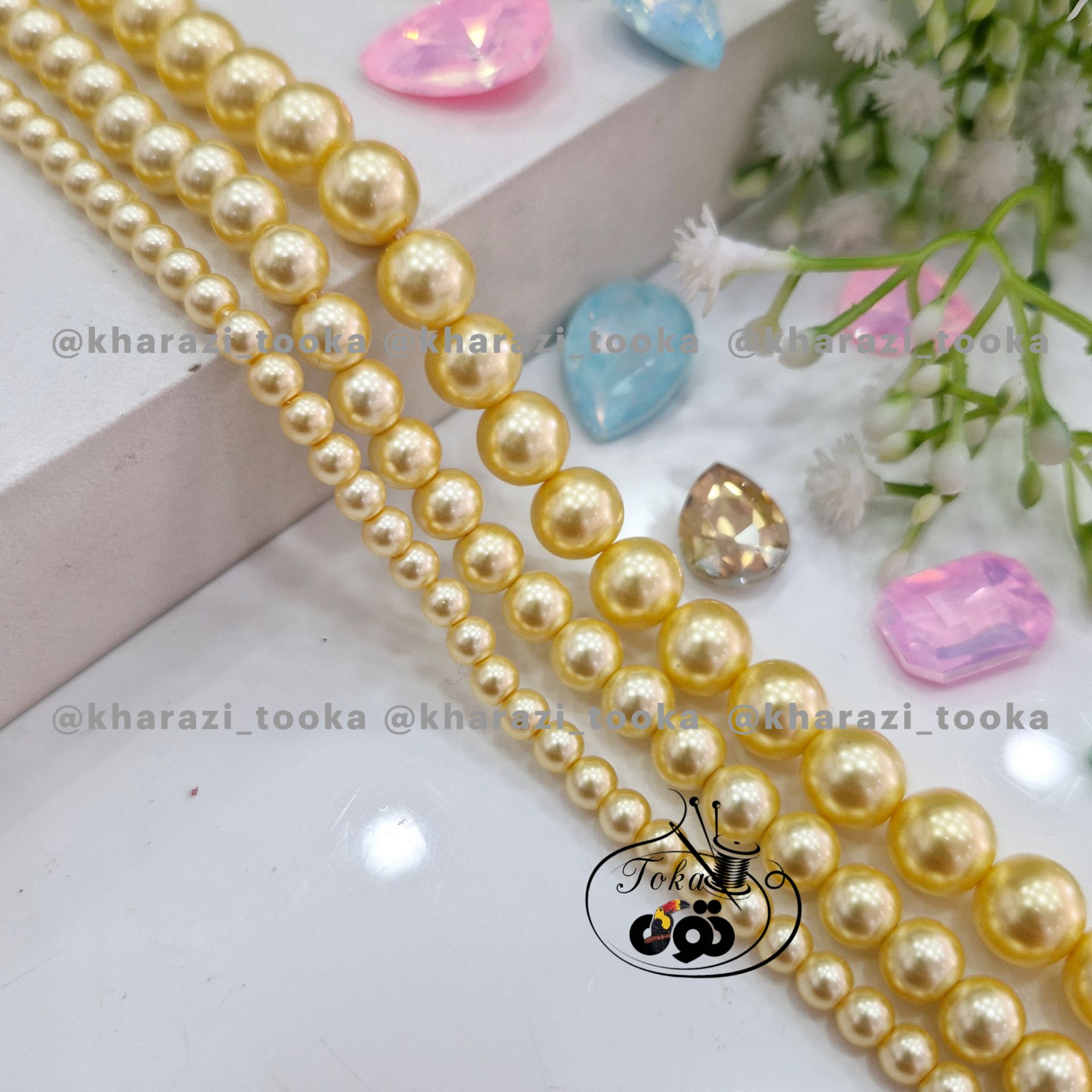مروارید شل طلایی ۲۸